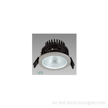 China manufacture directional led downlight